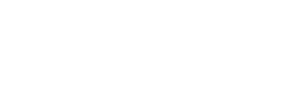 vice-logo
